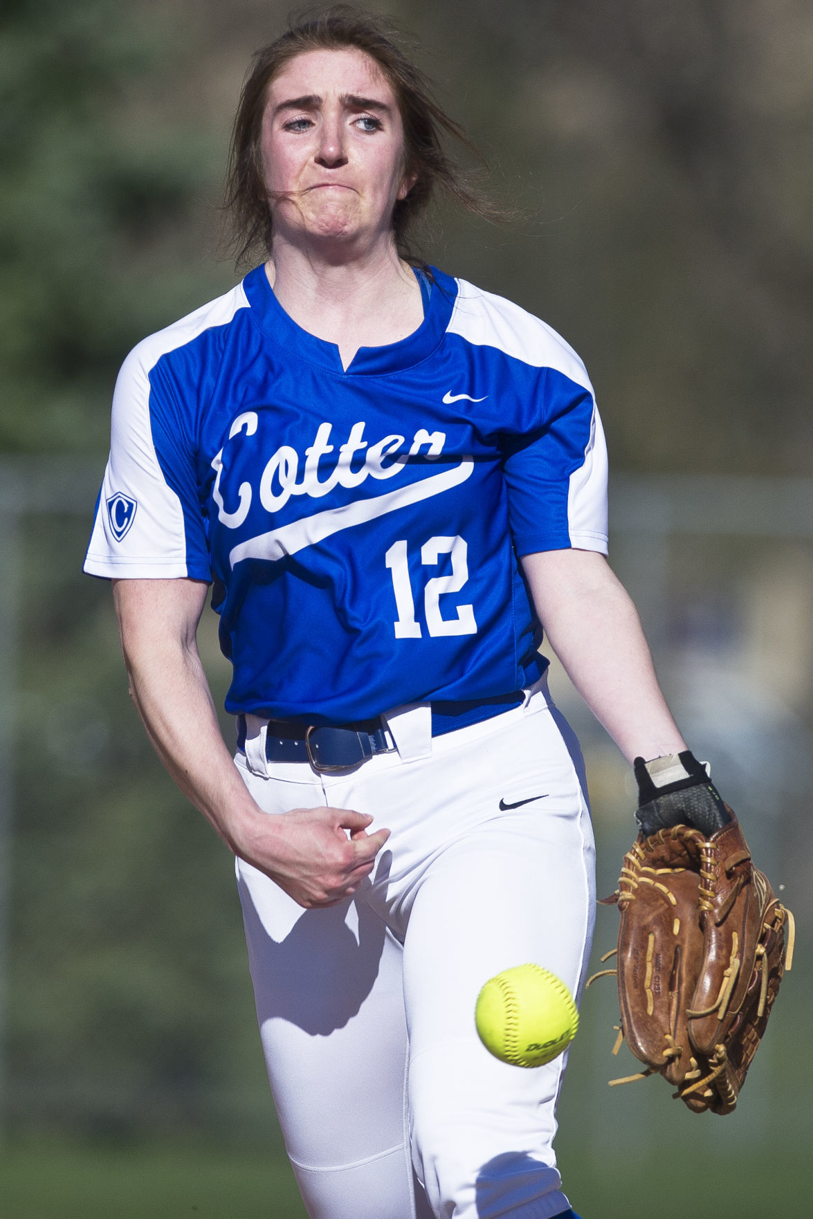 Cotter v. Chatfield 05